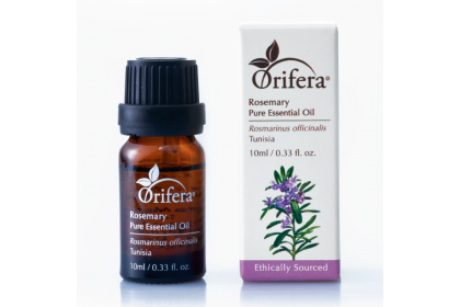 Rosemary (Rosmarinus Officinalis) Essential Oil Rosemary (Rosmarinus Officinalis) Essential Oil
